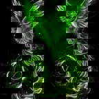 Jaxrim4