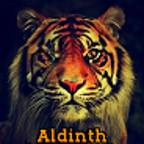 Aldinth